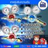 berg-dual-pressure-gauge-double-gauge