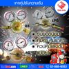 the-sun-pressure-gauge